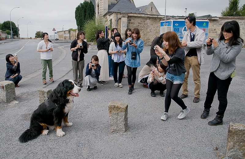 Anton Bretagne 09-2012 D35_0080 als Smart-Objekt-1 Kopie.jpg - Der nächste Ort ist Laon in Frankreich. Vor einer Kirche hielt ein Reisebus - als die Japanerrinnen  beim aussteigen Anton entdeckten , stürmten sie alle auf ihn zu und wollten Fotos machen.